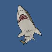 How to Draw a Shark logo