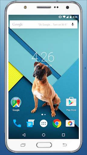 Cute Dog in Phone Funny walks screenshot 4