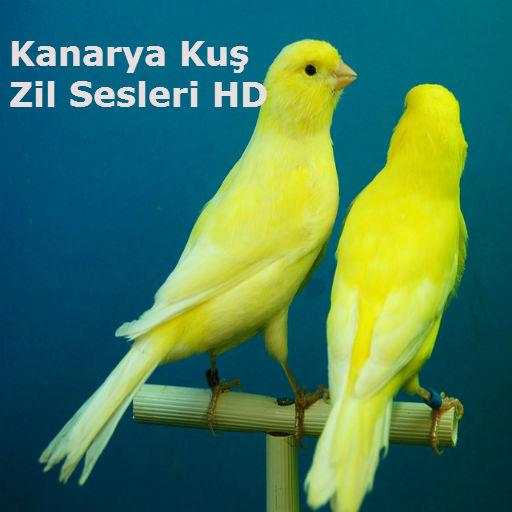 Kanarya Kuş Zil Sesleri HD screenshot 7