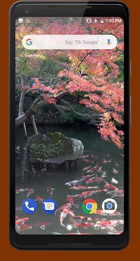 Japanese Pond with Koi Video Wallpaper screenshot 1