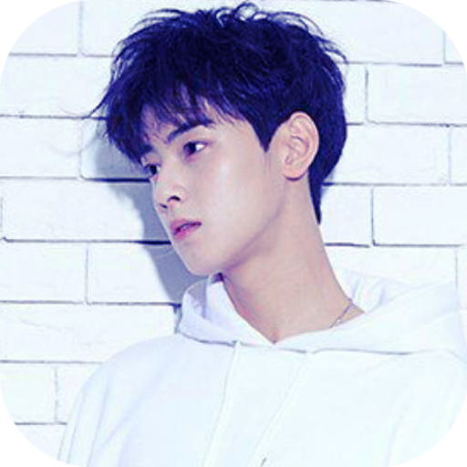 Cha Eun woo Wallpaper HD icon
