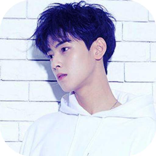 Cha Eun woo Wallpaper HD 5.0.2
