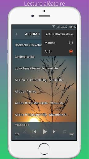 Ali Kiba songs offline (best 40 songs) screenshot 8