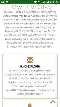 CAPC PAYZ lite screenshot 2
