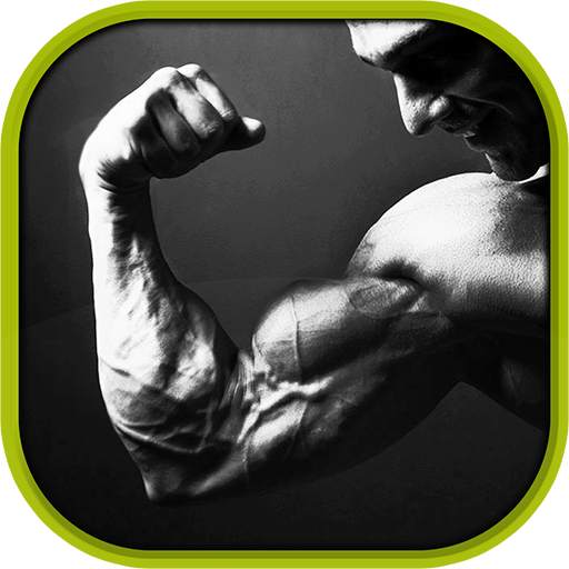 Bicep Workouts 13.2.4