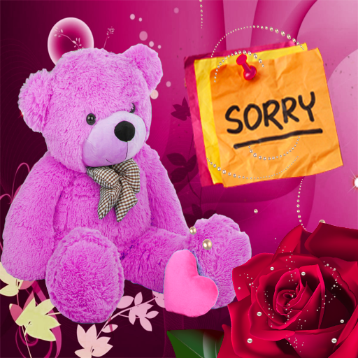 Sorry Photo Frame icon