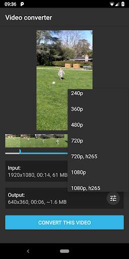 Video Converter Demo screenshot 2