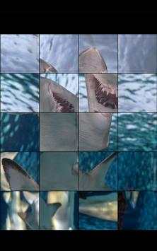 Hungry Shark Jigsaw Puzzle Game screenshot 2
