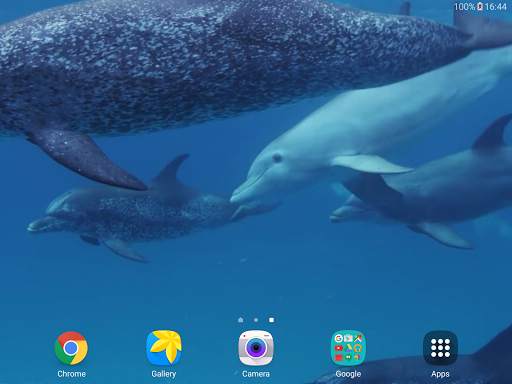 Dolphins Live Wallpaper screenshot 10