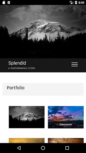 Splendid Studios screenshot 1