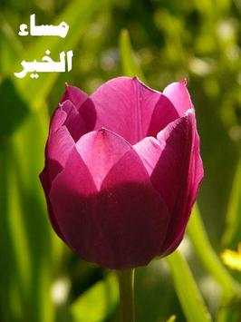 مساء الخير 4:صور للمشاركة screenshot 6