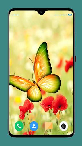 Butterfly Wallpaper 4K screenshot 4