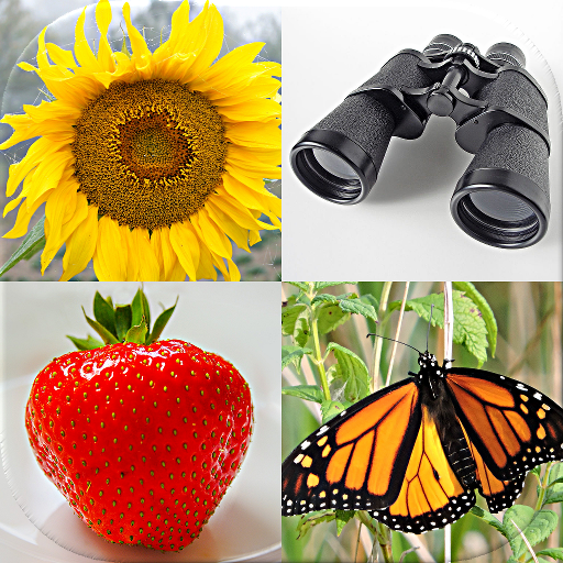 Devinez des images et des mots: Photo-quiz amusant icon