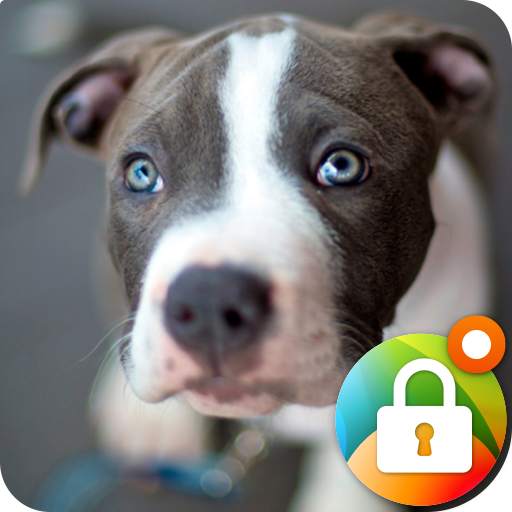 Pitbull Nice Dogs Wallpaper Lock Screen 1.0
