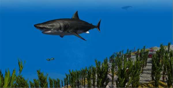 Shark Simulator 3D screenshot 3