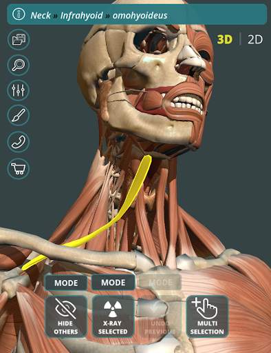 Visual Anatomy 3D | Human screenshot 2