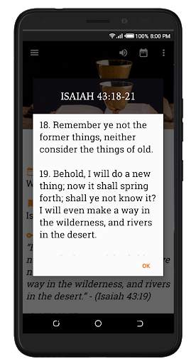 Daily Manna 2020 screenshot 3
