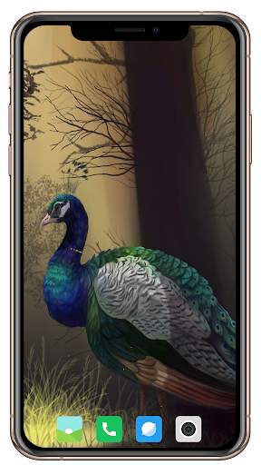 Peacock HD Wallpaper screenshot 13