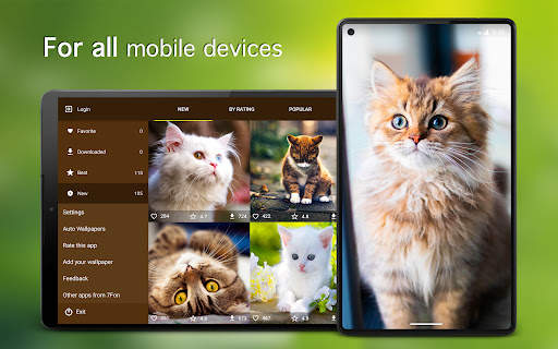 Cat Wallpapers & Cute Kittens screenshot 6