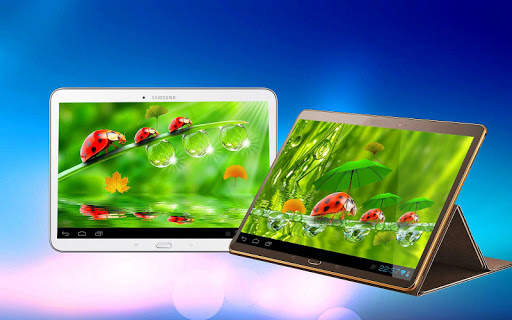 Ladybug 3D Live Wallpaper 14 تصوير الشاشة