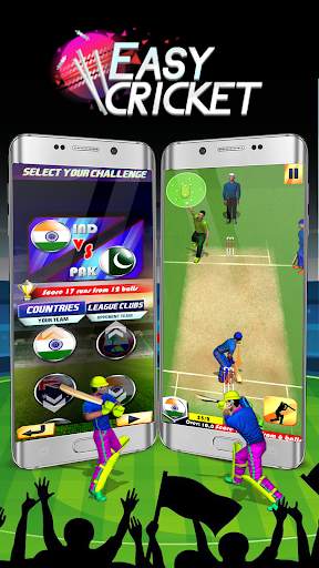 Easy Cricket: Challenge screenshot 1