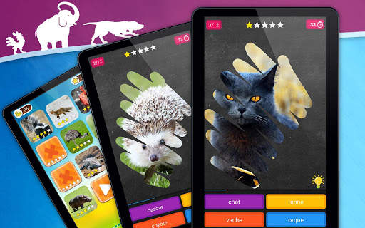 Jeu de grattage: Animaux Quiz screenshot 9
