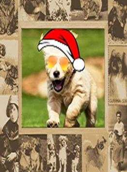 MY DOG FRAMES 5 تصوير الشاشة
