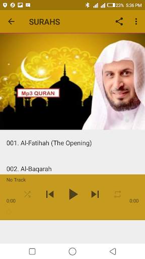 Saad Al-Ghamidi Mp3 Quran screenshot 3