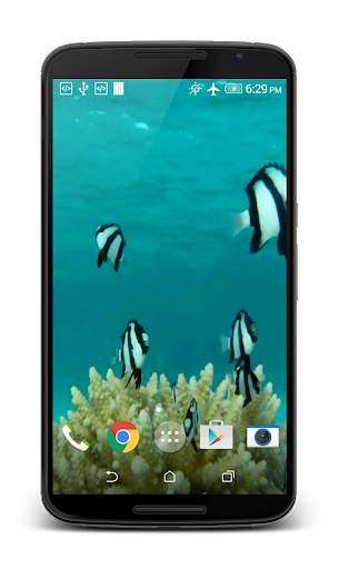 Fish HD Live Wallpaper screenshot 3