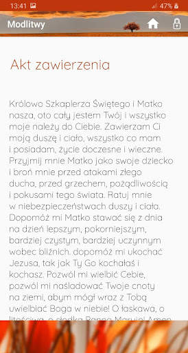 Matka Boża Szkaplerzna screenshot 5