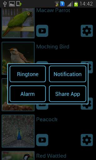 Bird Sounds & Ringtones स्क्रीनशॉट 3