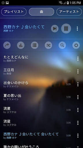 Mp3 Player screenshot 9