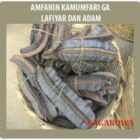 Amfanin Bagaruwa on 9Apps