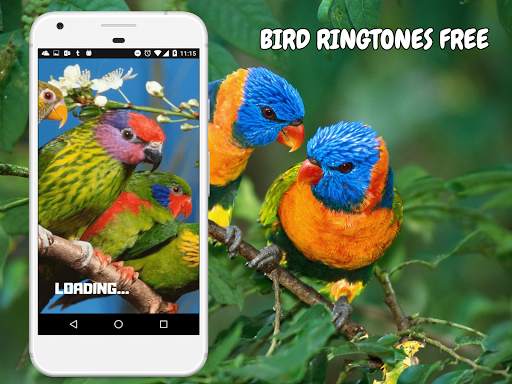 Bird Ringtones Free Download screenshot 1
