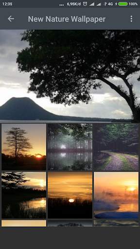 Beauty Nature Wallpaper screenshot 4
