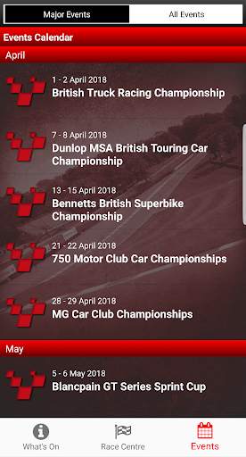 Brands Hatch LIVE! screenshot 2
