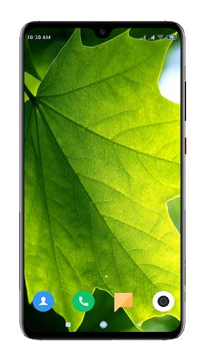 Green Wallpaper HD screenshot 3