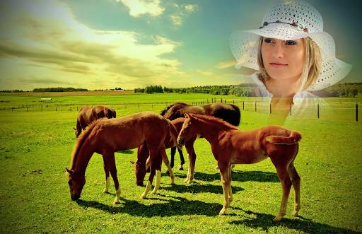 Animal Photo Frames screenshot 3