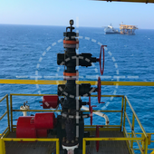 Petroform icon