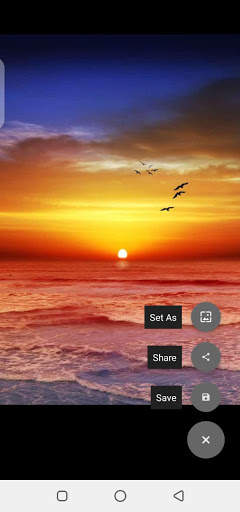Status Saver for whatsapp screenshot 4