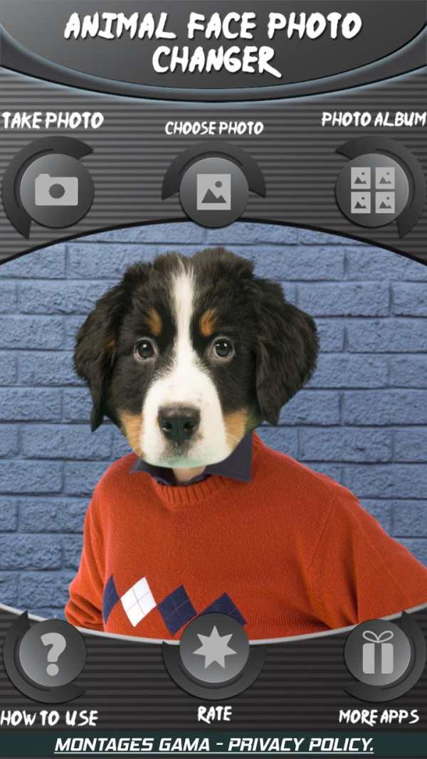 Animal Face Photo Changer 3 تصوير الشاشة