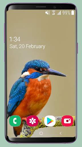 Bird Wallpaper New 4K screenshot 9
