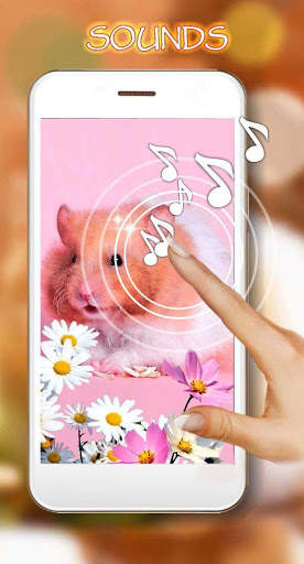 Hamsters Funny Live Wallpaper screenshot 1