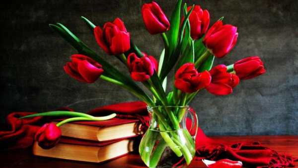 Tulip.Flowers wallpaper स्क्रीनशॉट 4