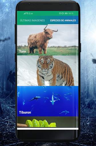 Fondos de Animales screenshot 5
