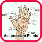 Acupressure Points Guide 1.0