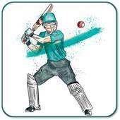 Hand Cricket Game : Unlimited Fun 1.0