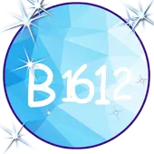 B1612 Pro Effect