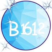 B1612 Pro Effect 1.0