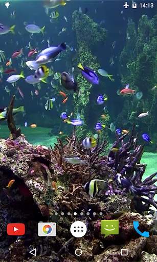 Aquarium 4K Video Wallpaper screenshot 5
